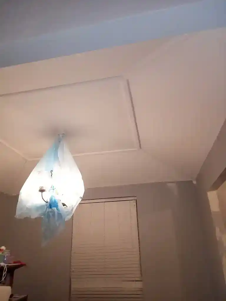 painting walls in dining room 